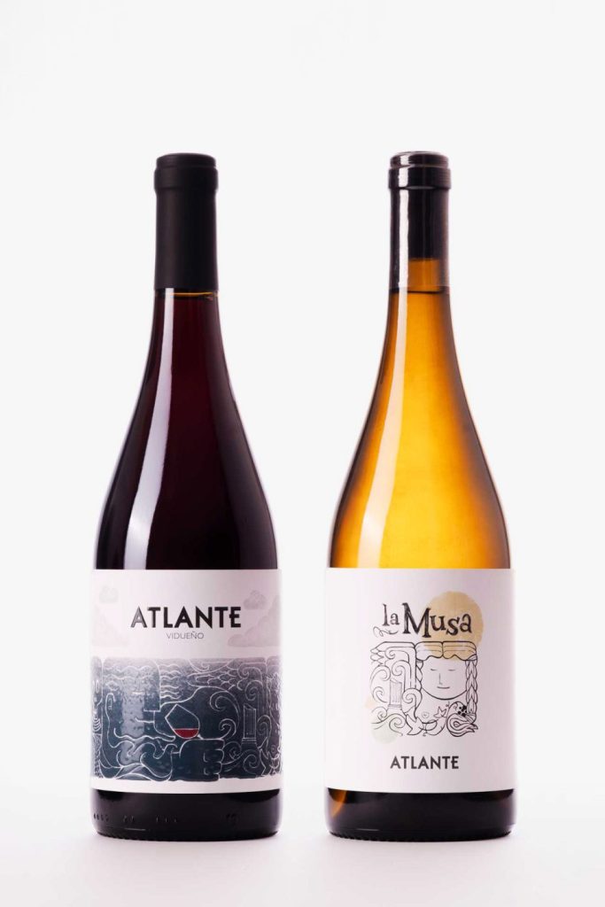 VINOS_ATLANTE_Botellas_2 Atlante Wine Bottles: Vidueño and La Musa