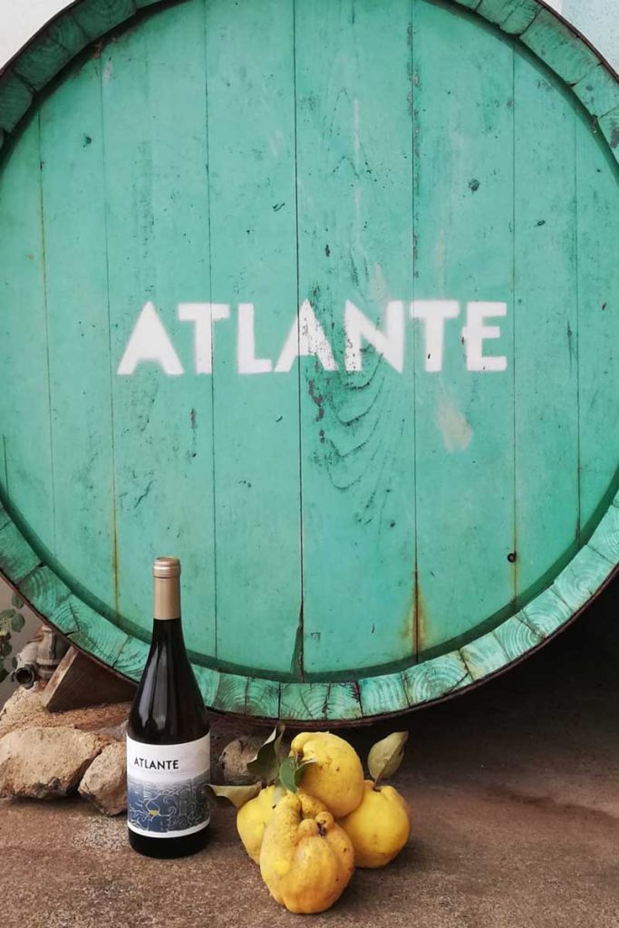 ATLANTE wine barrel, with bottle and fruit.