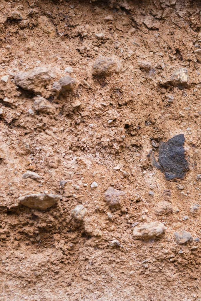 VINOS_ATLANTE_Finca_65 Detail of the volcanic soil in which the Vinos Atlante vines grow.