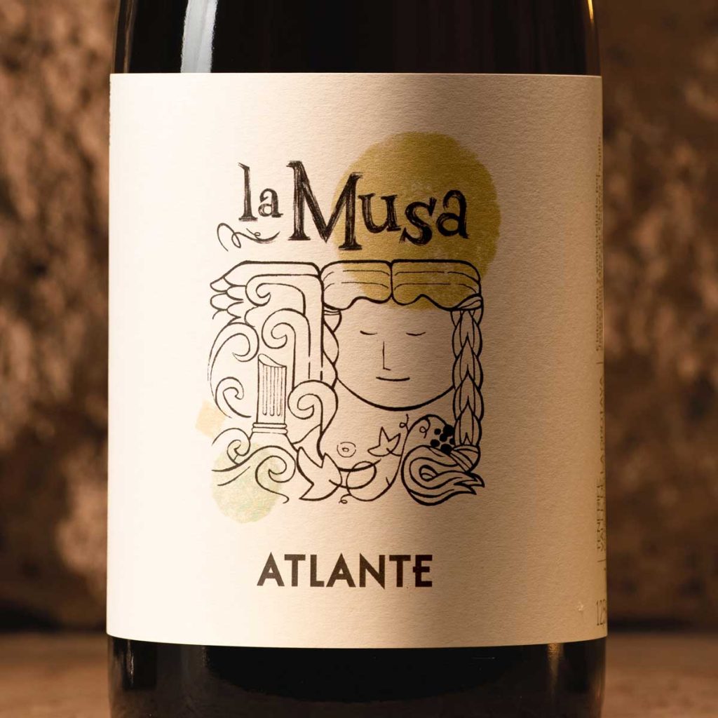 Vinos Atlante - La Musa Vinos Atlante - La Musa